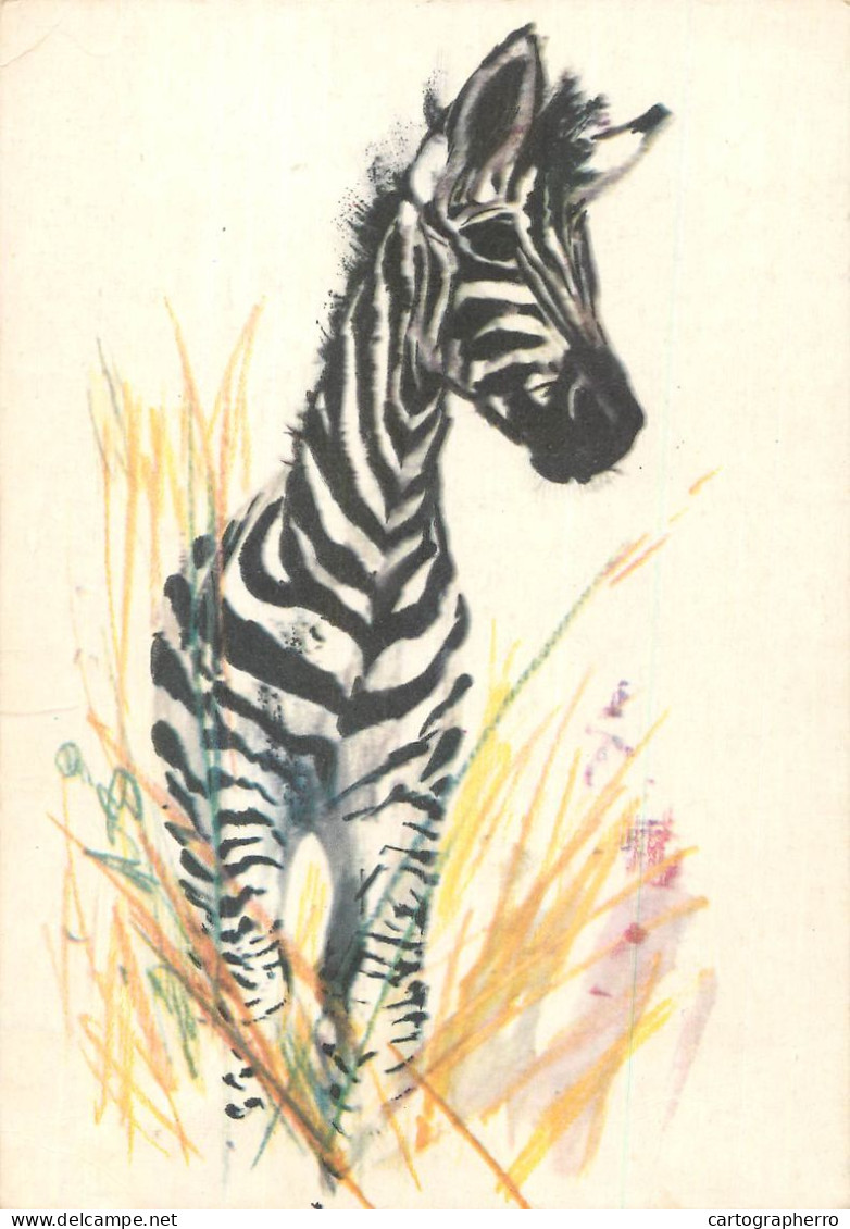 Greetings Card Animal Zebra - Cebras