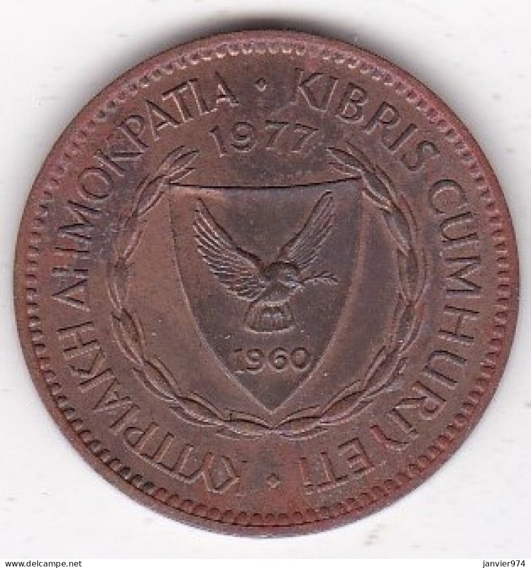 Chypre 5 Mils 1977 , En Bronze , KM# 40, En Sup/XF - Chypre