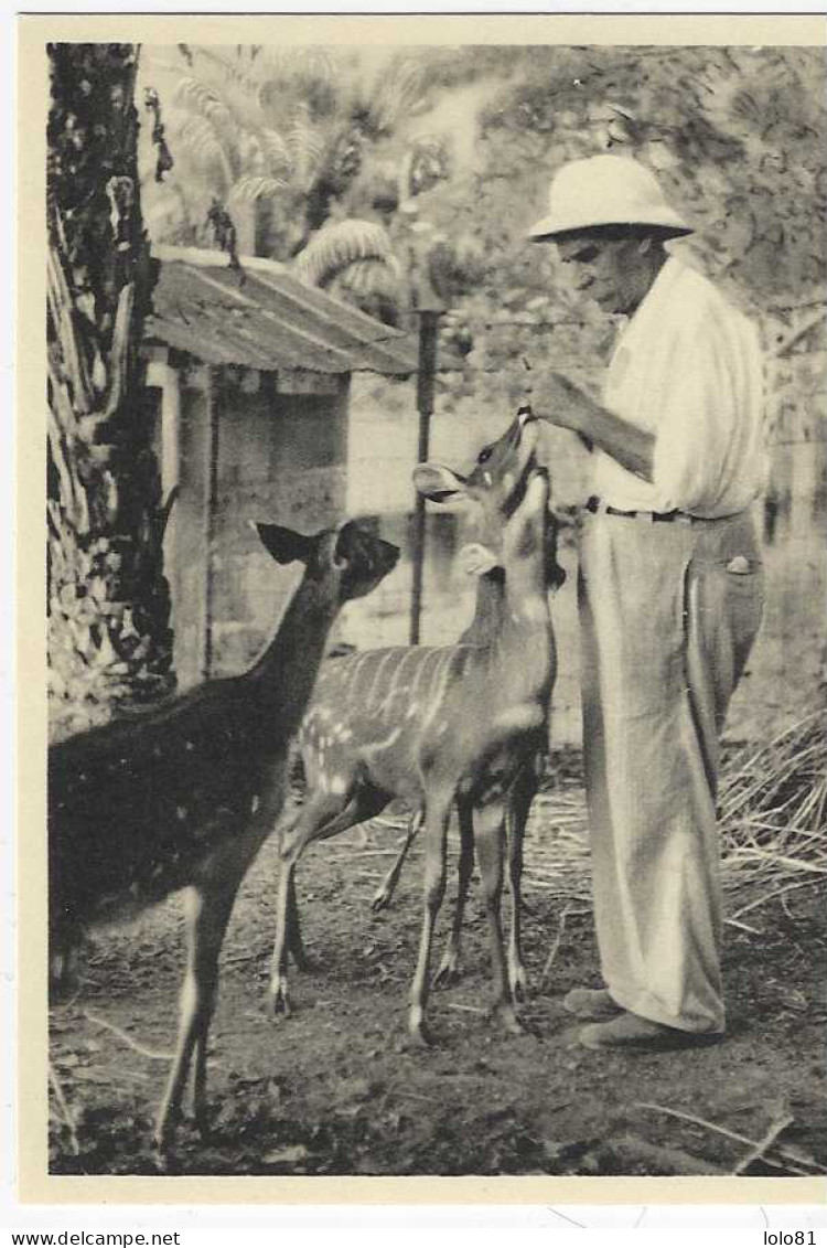 Cpa Albert Schweitzer Lambarene - Nobelpreisträger