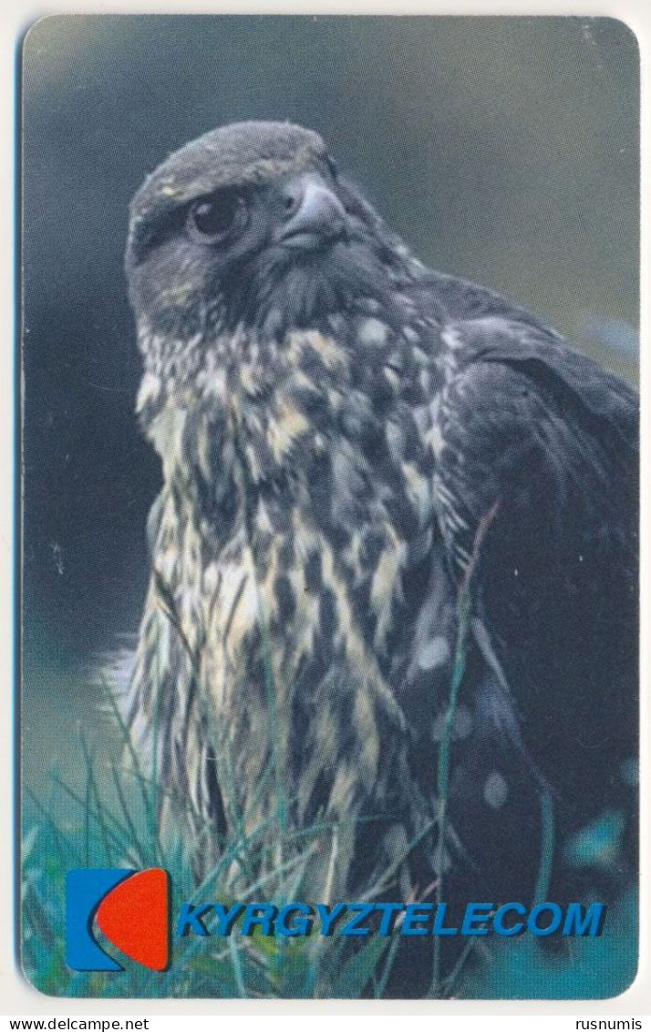 KYRGYZSTAN KYRGYZ TELECOM 50 UNITS CHIP TELECARTE FAUNA BIRD OF PREY - FALCON - VERY GOOD USED - Kirguistán