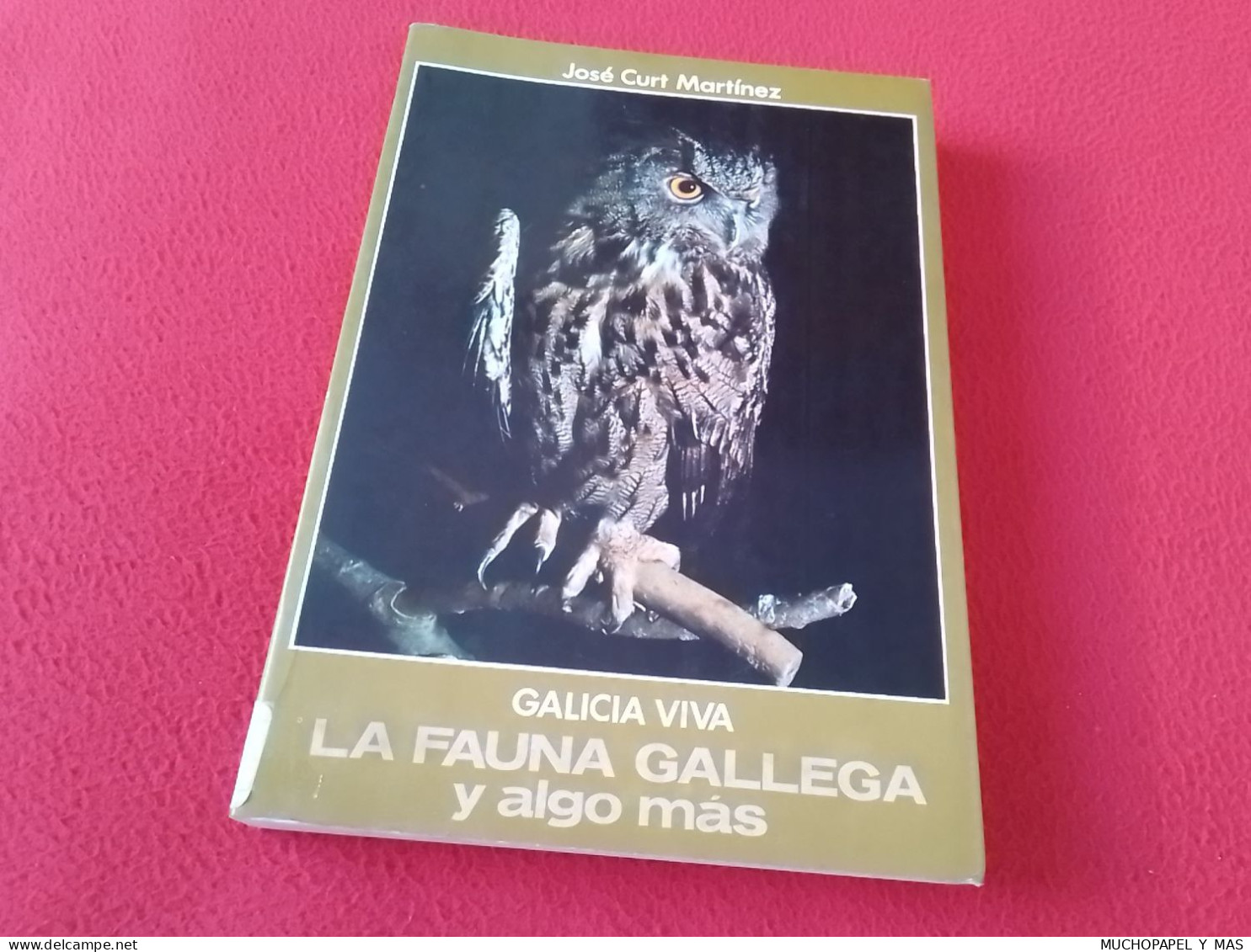 SPAIN ANTIGUO LIBRO 1978 JOSÉ CURT MARTÍNEZ GALICIA VIVA LA FAUNA GALLEGA Y ALGO MÁS..LOBOS CORZOS..ETC..VER FOTOS FAUNE - Handwetenschappen