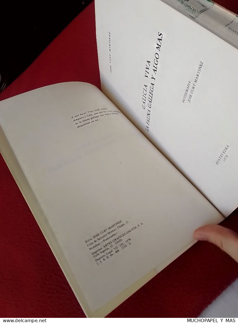 SPAIN ANTIGUO LIBRO 1978 JOSÉ CURT MARTÍNEZ GALICIA VIVA LA FAUNA GALLEGA Y ALGO MÁS..LOBOS CORZOS..ETC..VER FOTOS FAUNE - Sciences Manuelles