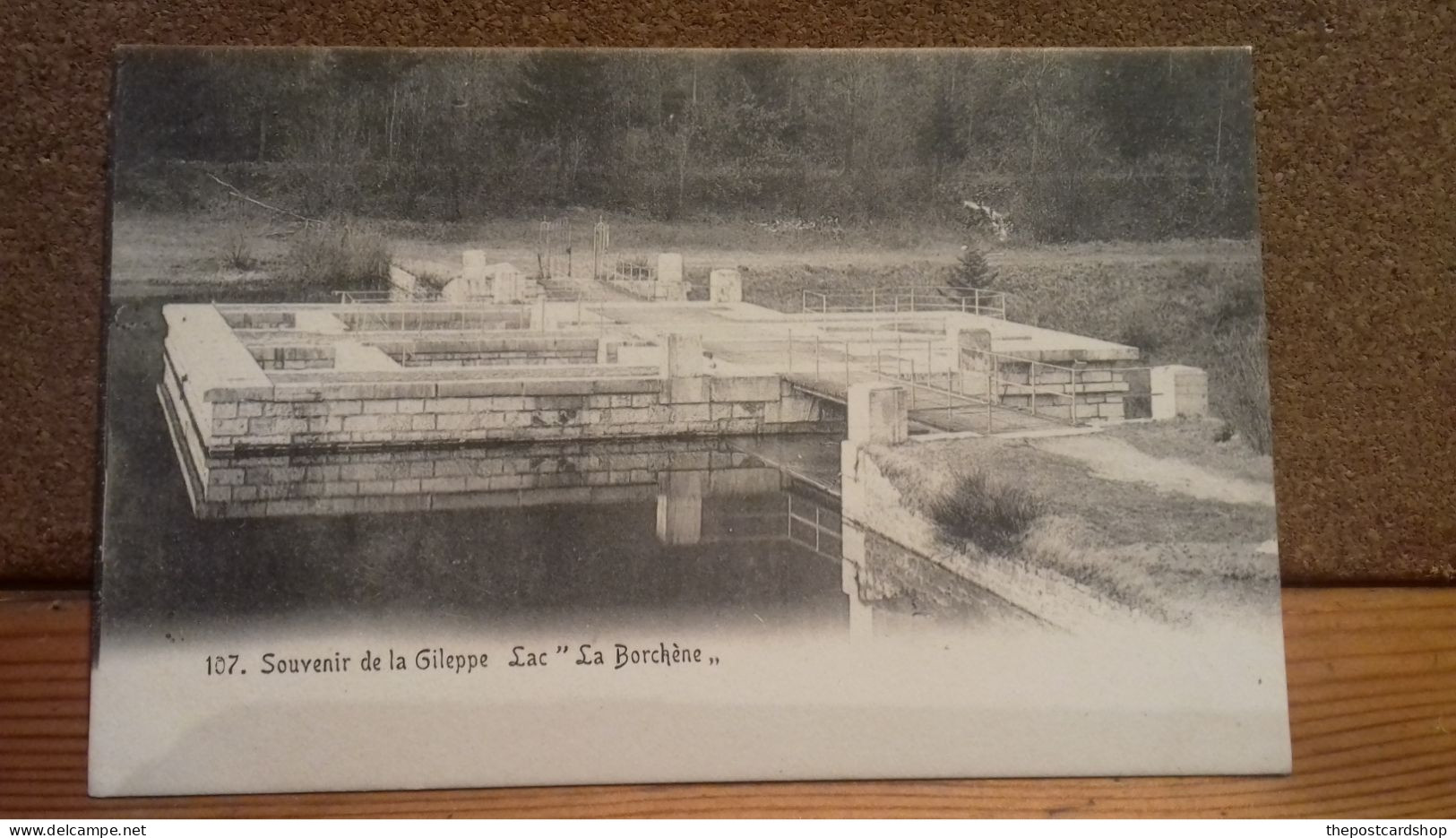 BELGIUM Souvenir De La Gileppe, Lac La Borchène Undivided Back UNUSED - Gileppe (Barrage)