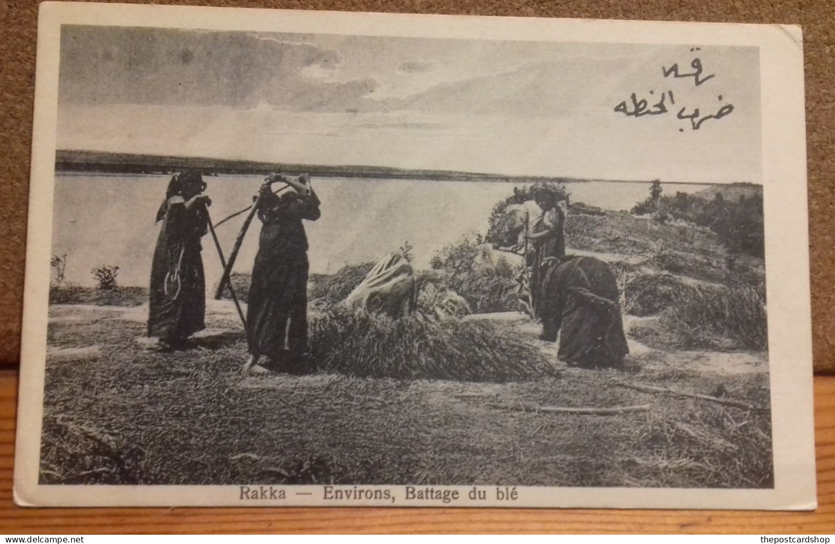 Rakka.mandat Français En Syrie Syria ( Société Des Nations 1920 ) Environs.battage Du Blé. UNUSED - Siria