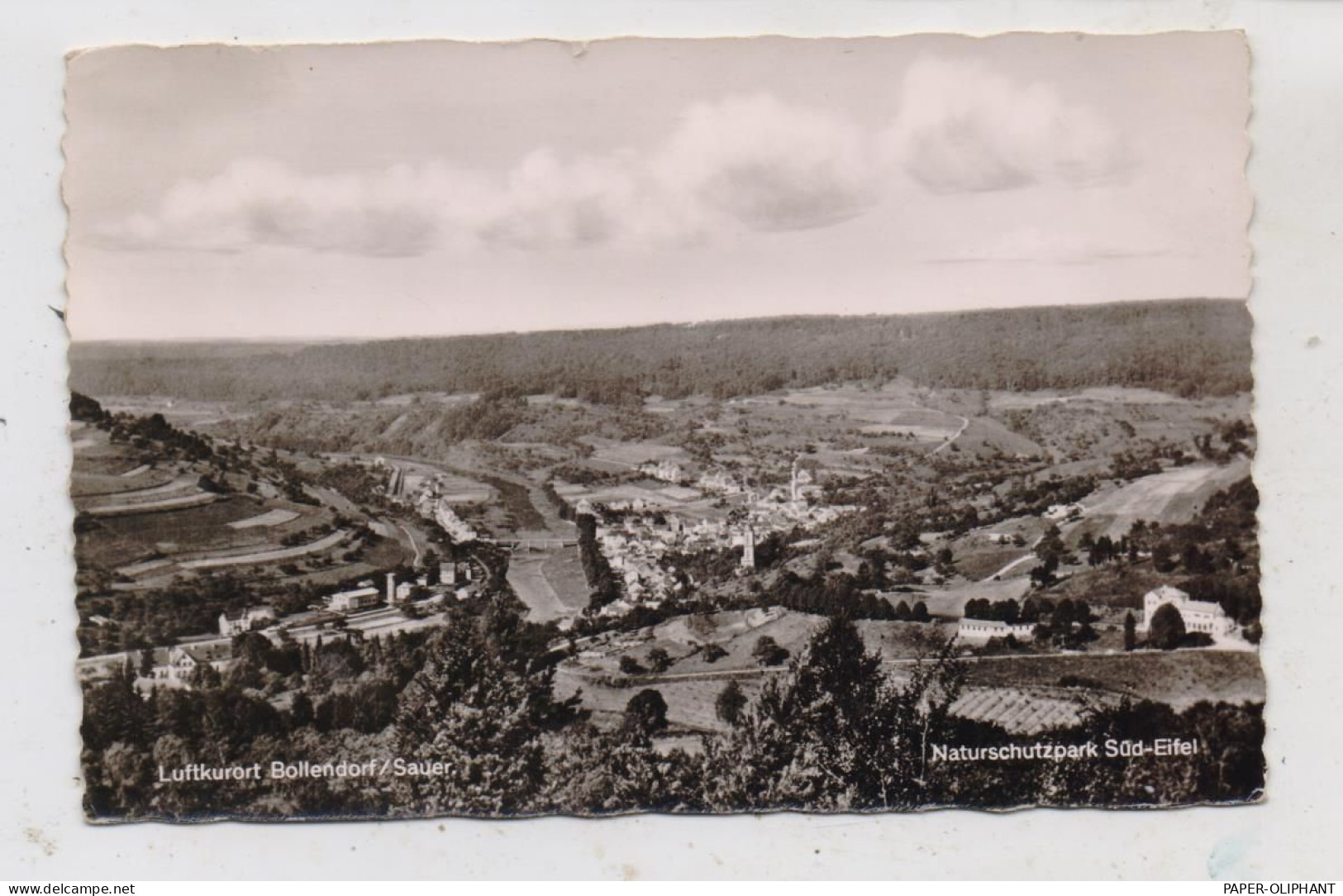 5526 BOLLENDORF, Blick Auf Den Naturschutzpark Und Luxemburg, 1959 - Bitburg