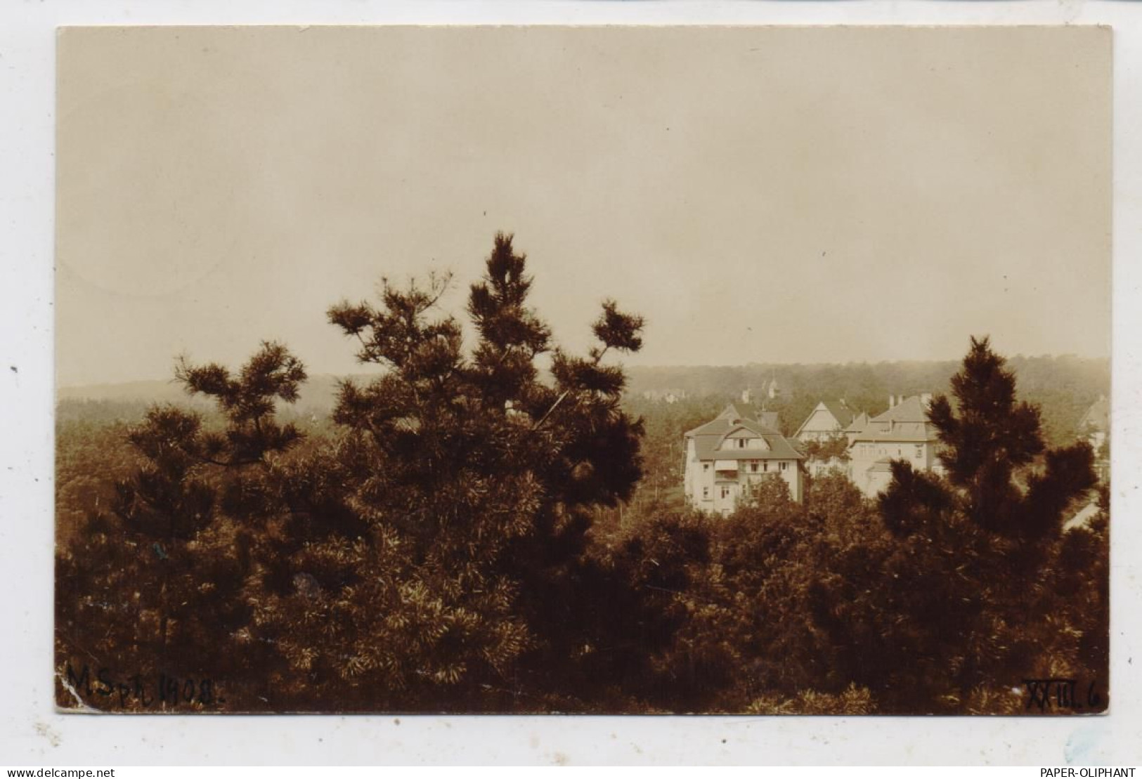 1000 BERLIN - NIKOLASSEE, Photo-AK, Blick Auf Die Villen, 1908 - Zehlendorf