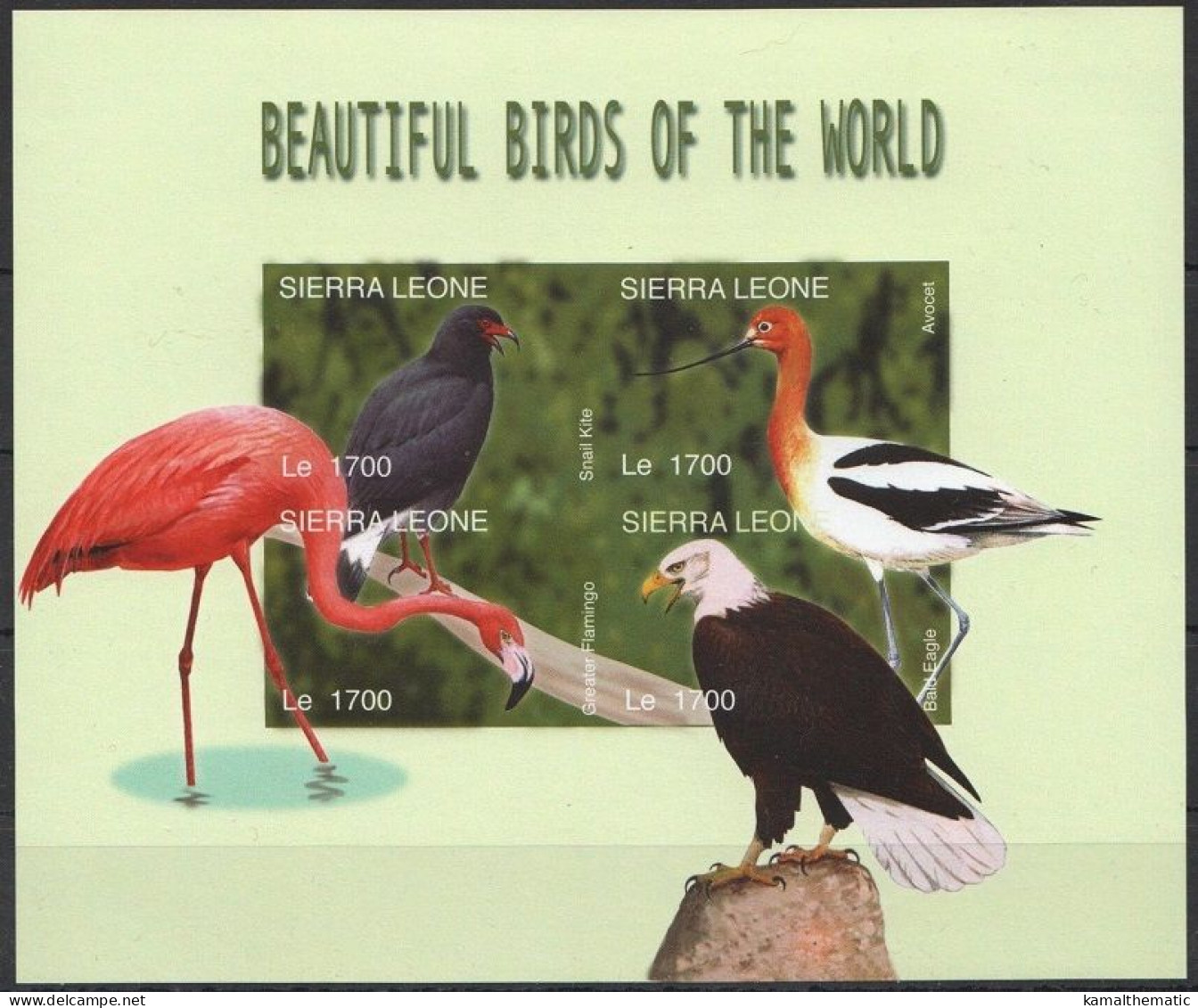 Sierra Leone 2004 MNH Imperf SS, Birds, Snail Kite, American Avocet, Bald Eagle, American Flamingo - Flamants