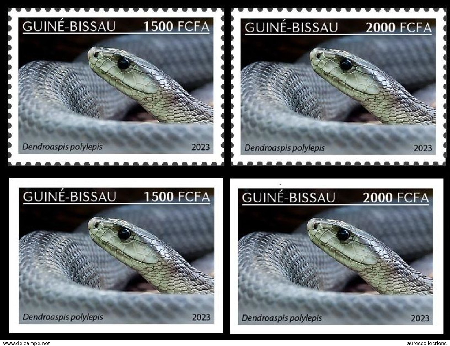 GUINEA BISSAU 2023 - SET 2 X 2V 1500F & 2000F PERF & IMPERF - REPTILES AMPHIBIANS - SNAKE SNAKES SERPENTS - MNH - Serpents