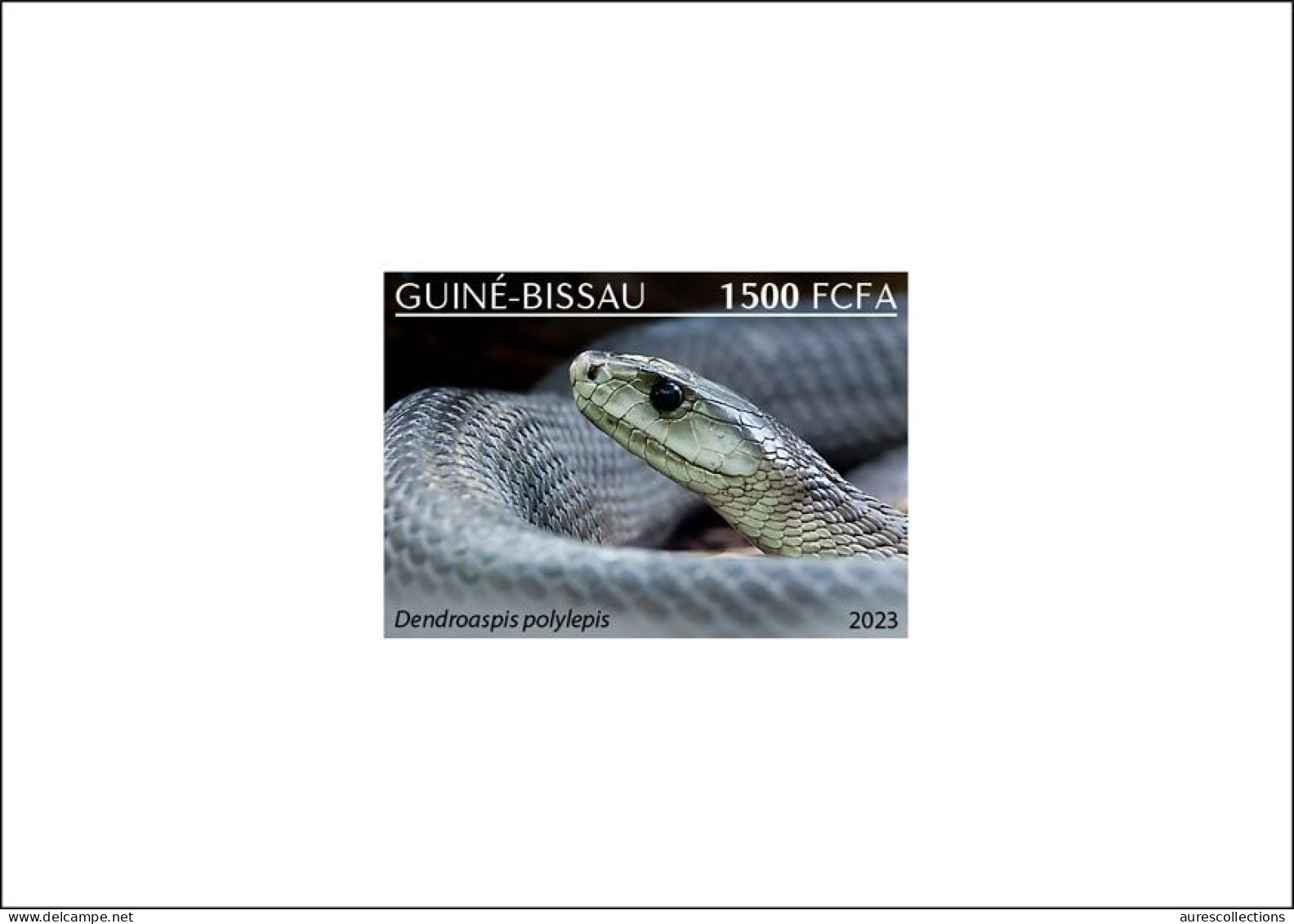 GUINEA BISSAU 2023 - DELUXE PROOF - REPTILES AMPHIBIANS - SNAKE SNAKES SERPENTS - MNH - Serpents