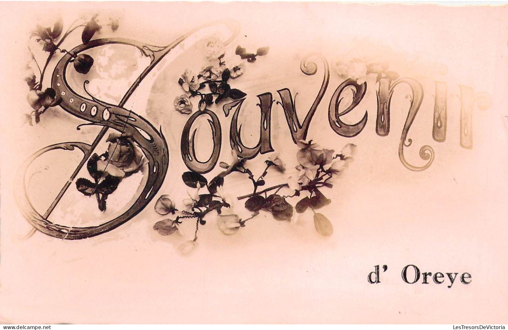 BELGIQUE - OREYE - Souvenir D'oreye - Fleur - Carte Postale Ancienne - Oreye