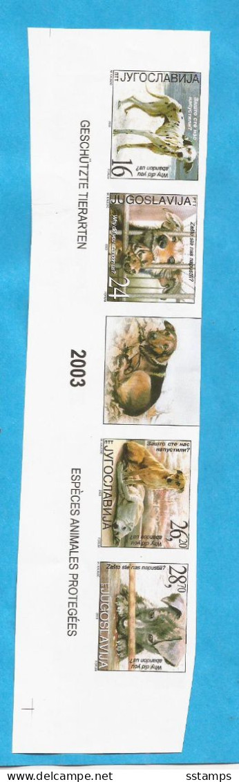 YU -SEC - 5   2003  JUGOSLAWIEN  CANI HUNDE GESCHNITTEN  VORDERSEITE-RETRO RRR SEHR SELTEN  MNH - Non Dentelés, épreuves & Variétés