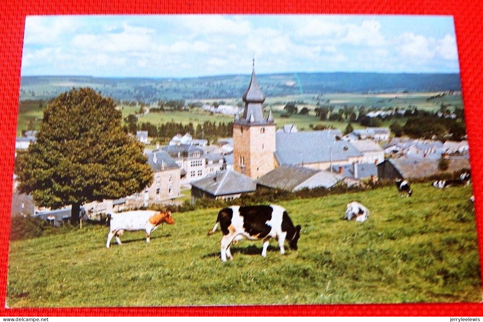 LIERNEUX  -  Panorama - Lierneux