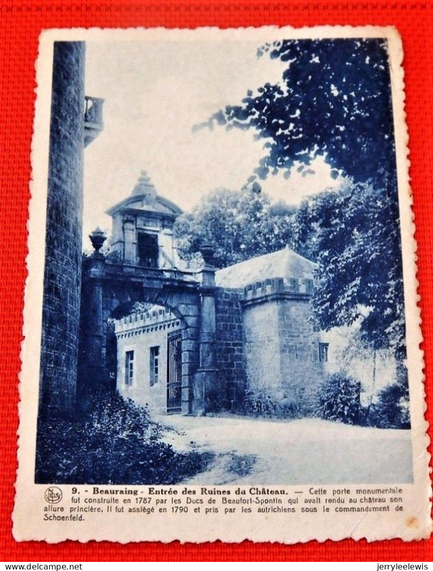BEAURAING  -  Entrée Des Ruines Du Château - Beauraing