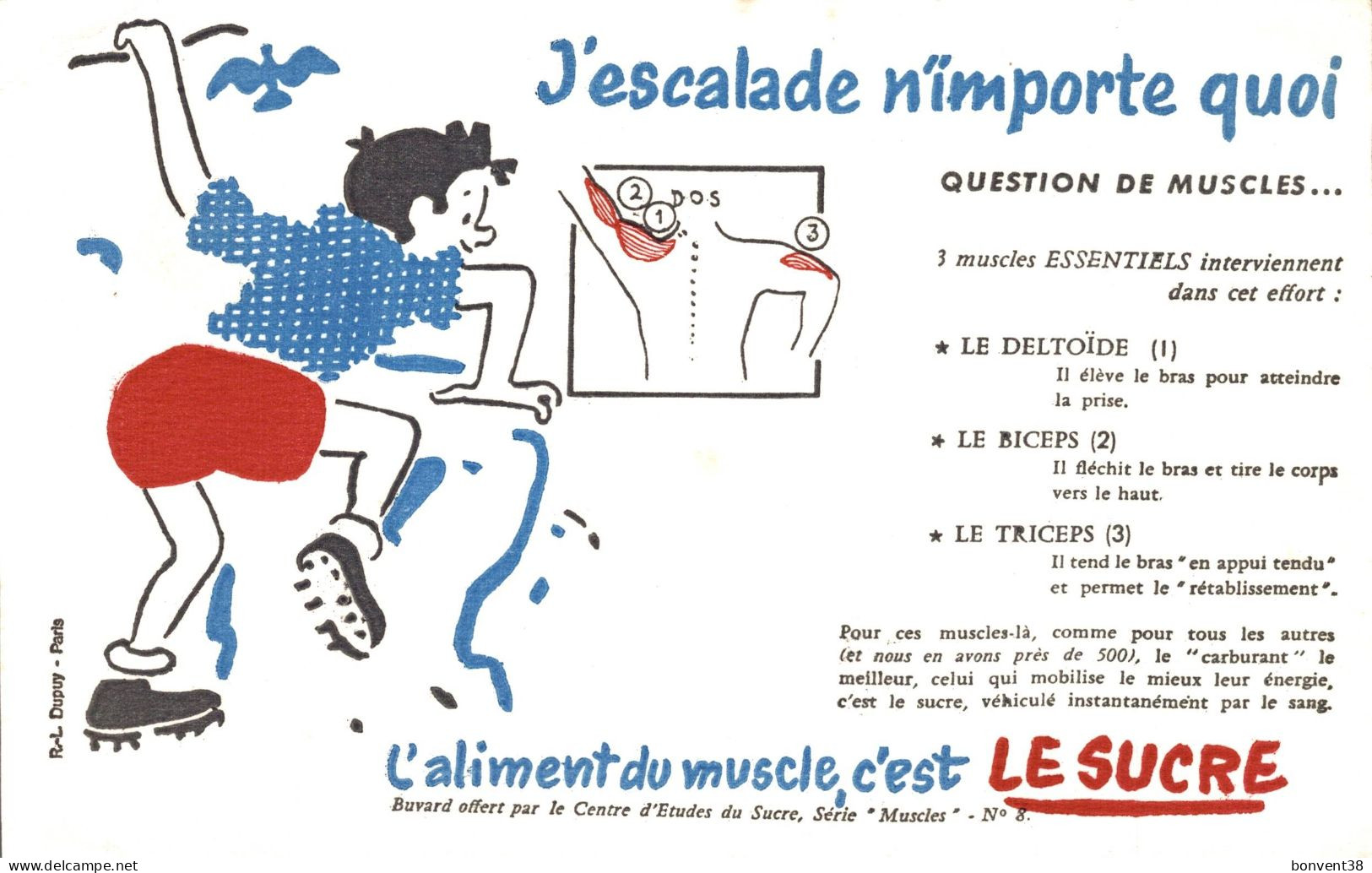 J2707 - BUVARD - L'Aliment Du Muscle C'est Le SUCRE - J'Escalade N'importe Quoi - Sucreries & Gâteaux