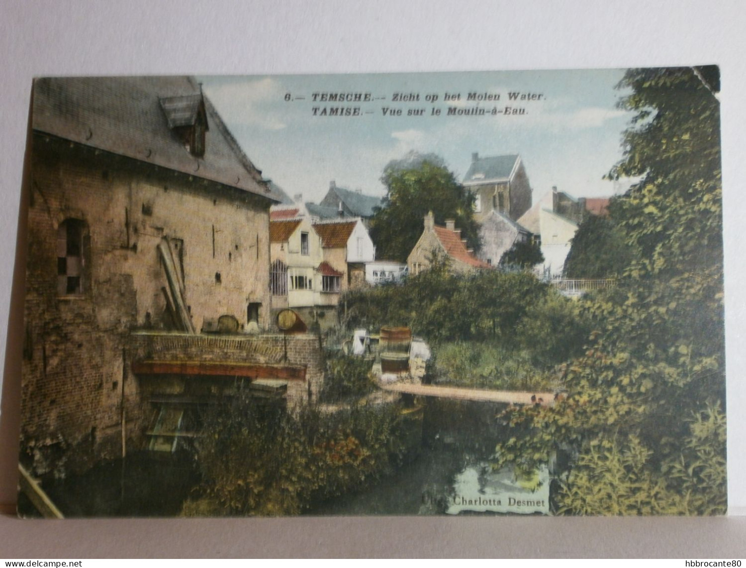 Temse , Temsche , Tamise  -  Zicht Op Het Molen Water , Vue Sur Le Moulin à Eau , Uitg Charlotta Desmet - Temse