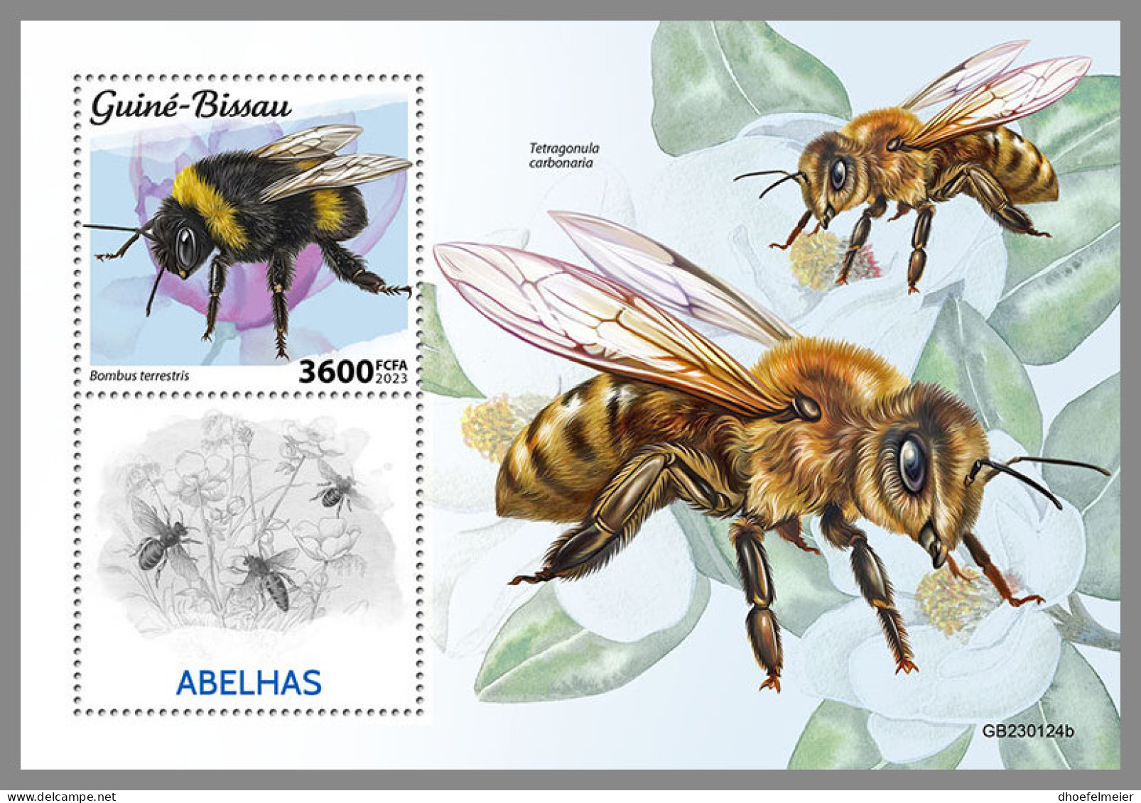 GUINEA BISSAU 2023 MNH Bees Bienen Abeilles S/S - OFFICIAL ISSUE - DHQ2330 - Abeilles