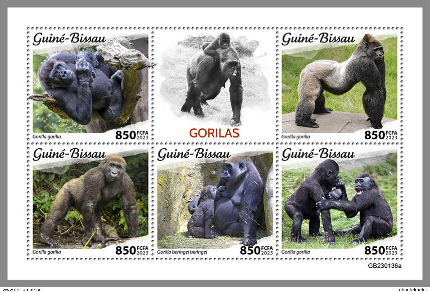 GUINEA BISSAU 2023 MNH Gorillas Gorilles M/S - OFFICIAL ISSUE - DHQ2330 - Gorillas