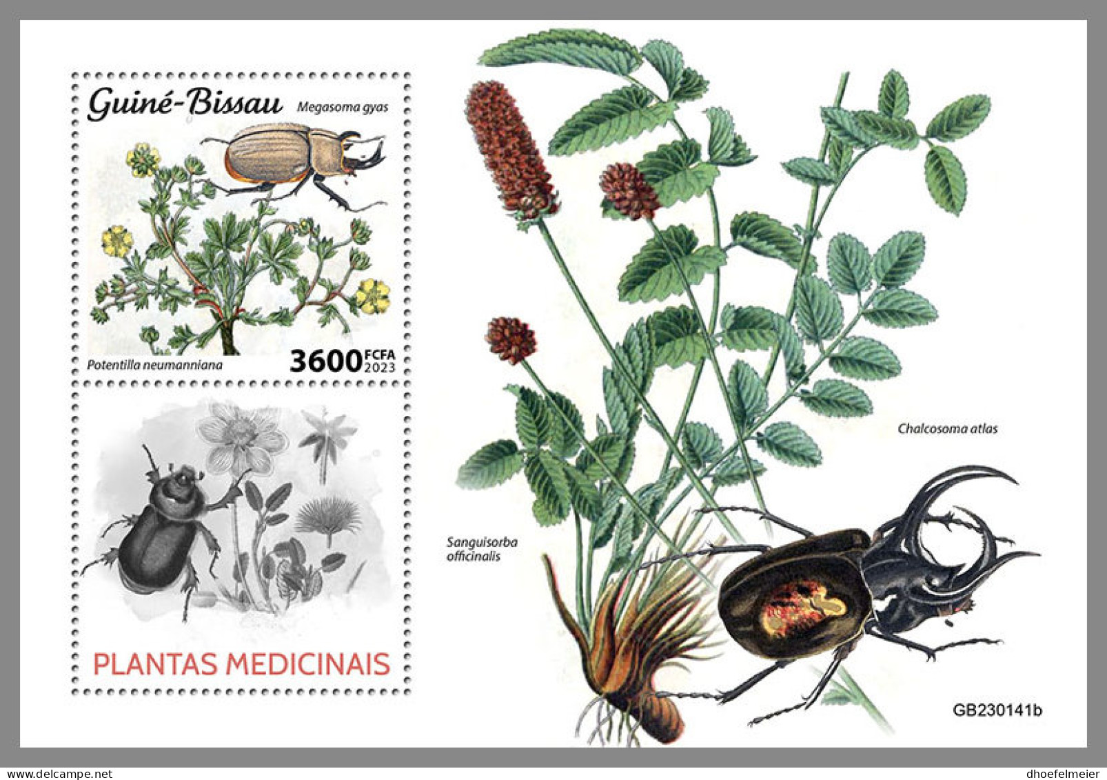 GUINEA BISSAU 2023 MNH Medical Plants Heilpflanzen Plantes Medicinales S/S - OFFICIAL ISSUE - DHQ2330 - Plantes Médicinales