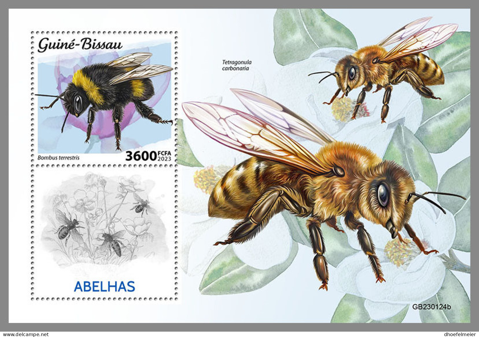 GUINEA BISSAU 2023 MNH Bees Bienen Abeilles S/S - IMPERFORATED - DHQ2330 - Abeilles