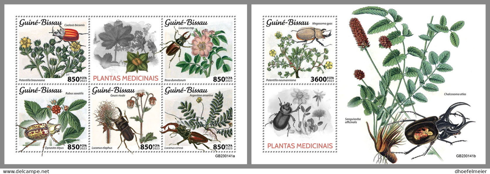 GUINEA BISSAU 2023 MNH Medical Plants Heilpflanzen Plantes Medicinales M/S+S/S - IMPERFORATED - DHQ2330 - Heilpflanzen