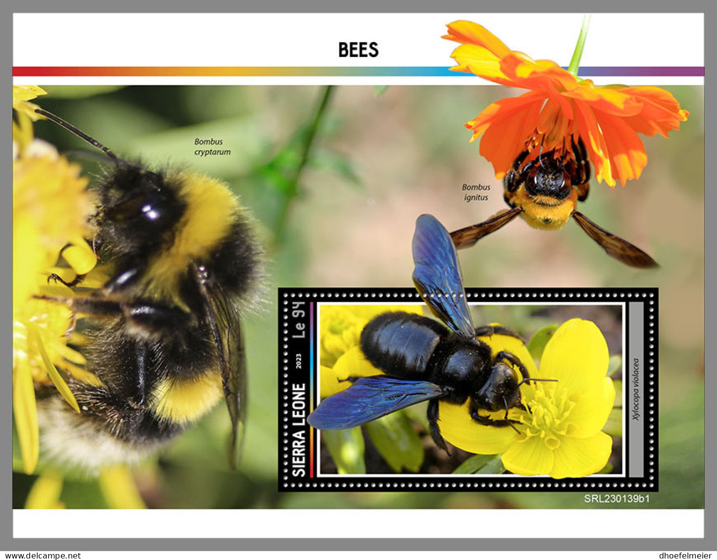 SIERRA LEONE 2023 MNH Bees Bienen Abeilles S/S I - OFFICIAL ISSUE - DHQ2330 - Abeilles