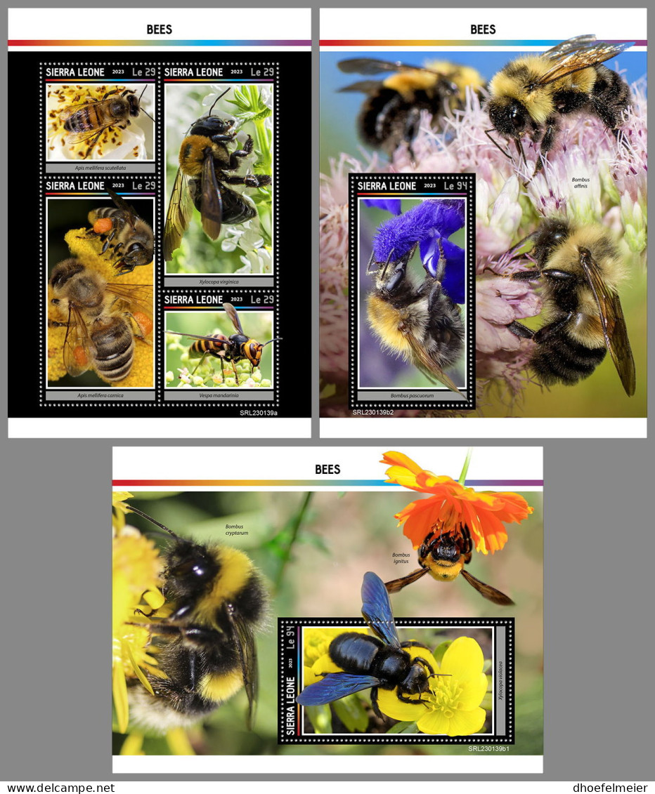 SIERRA LEONE 2023 MNH Bees Bienen Abeilles M/S+2S/S - OFFICIAL ISSUE - DHQ2330 - Abeilles