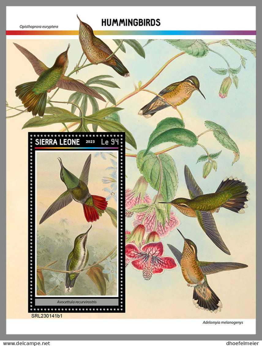 SIERRA LEONE 2023 MNH Hummingbirds Kolibris Colibris S/S I - OFFICIAL ISSUE - DHQ2330 - Colibrì