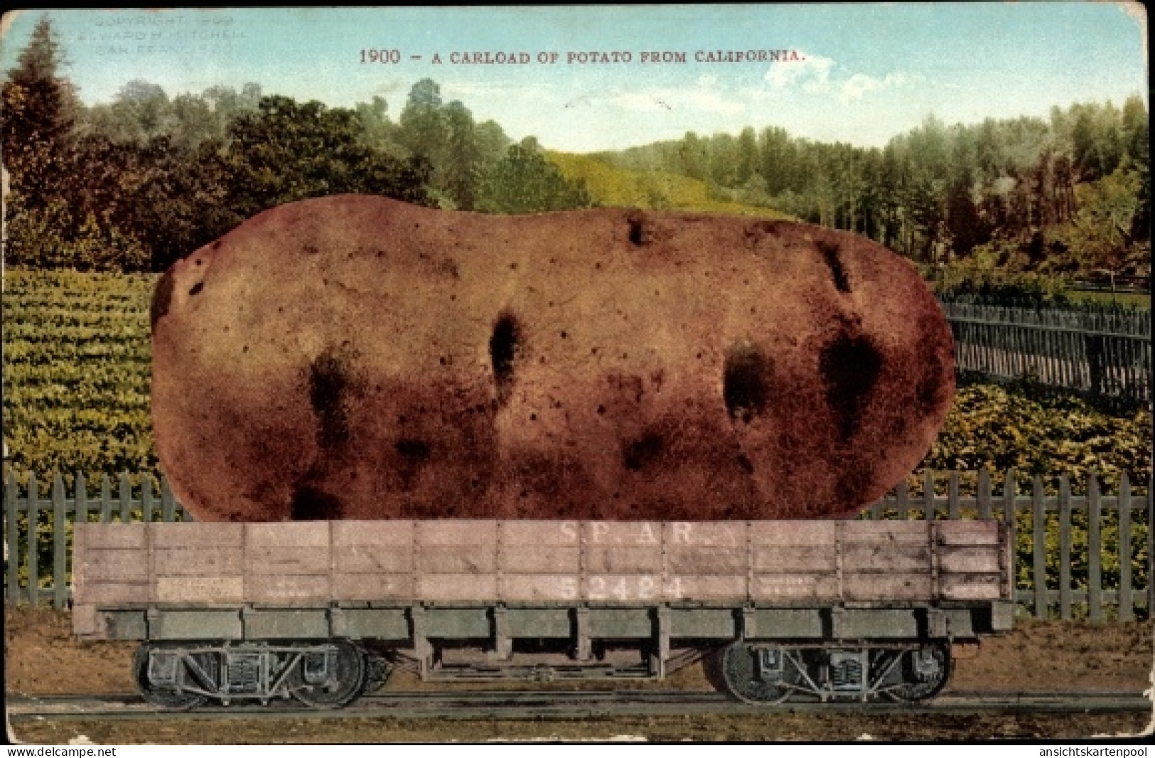 CPA Gemüse, Kartoffel, A Carload Of Potato From California - Altri & Non Classificati