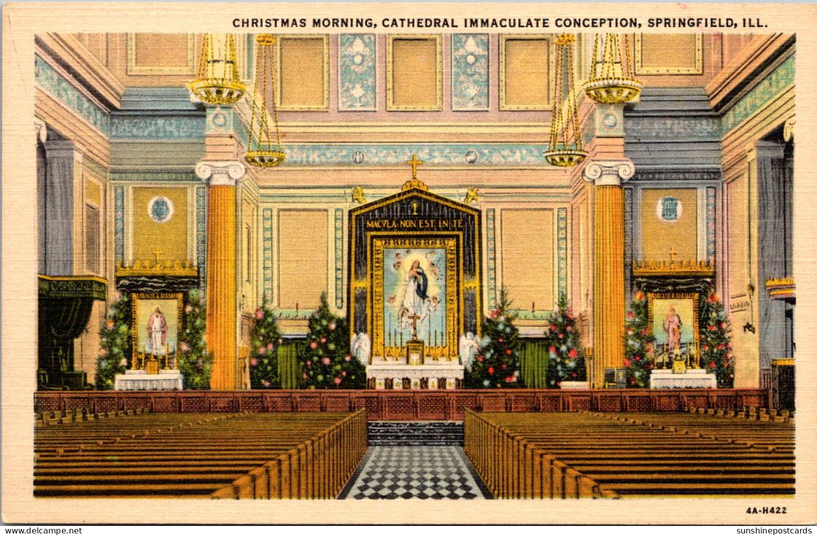 Illinois Springfield Cathedral Immaculate Conception Interior Christmas Morning Curteich - Springfield – Illinois