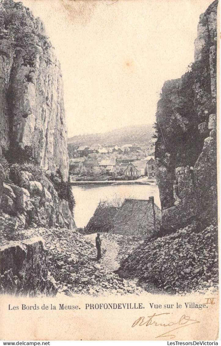 BELGIQUE - PROFONDEVILLE - Les Bords De La Meuse - Vue Sur Le Village - Carte Postale Ancienne - Profondeville