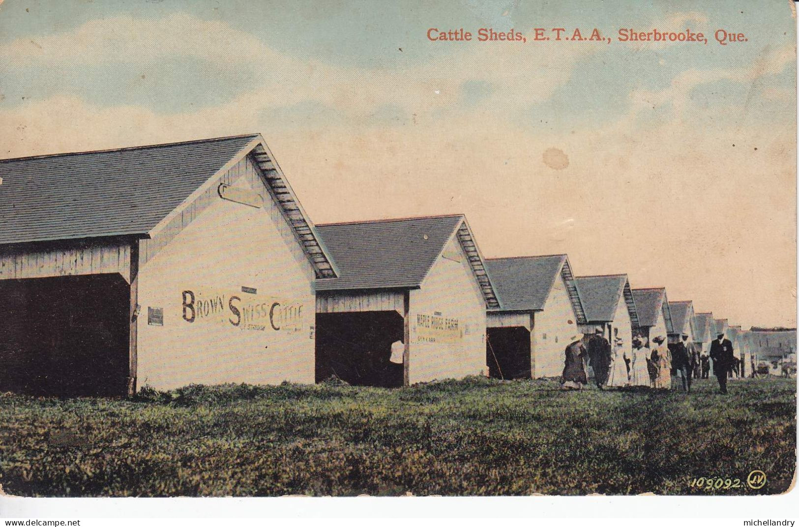 Carte Postal (123287) Cattle Sheds E.T.A.A. Sherbrooke Que Sans Timbre Avec écriture - Sherbrooke