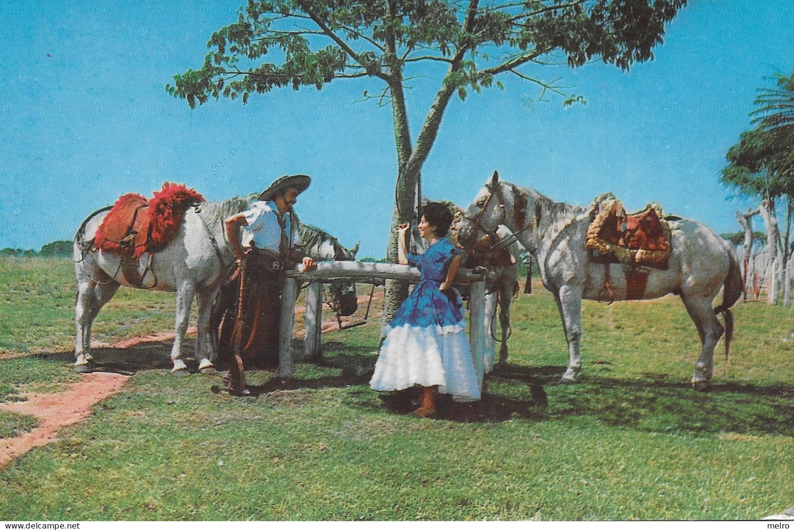 CPM - BRASIL - Rio Grande Do Sul - Idílio Na Querencia. - Porto Alegre