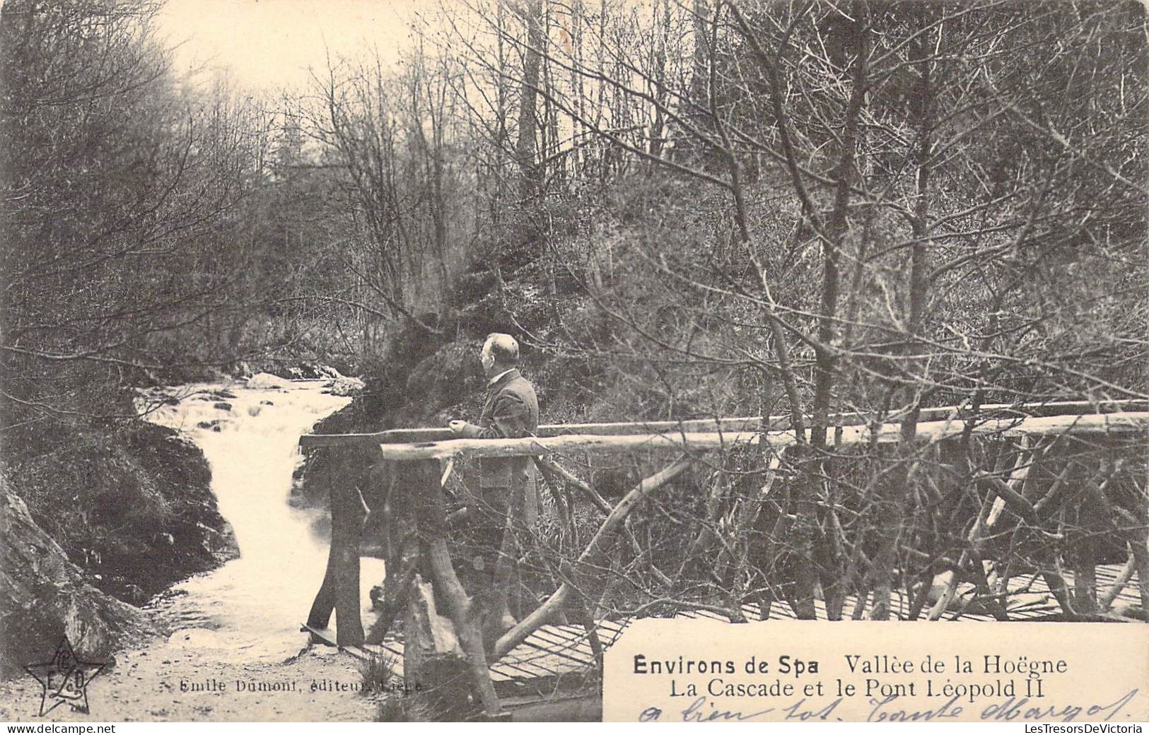 BELGIQUE - Environs De Spa - Vallée De La Hoegne - La Cascade Et Le Pont Léopold II - Carte Postale Ancienne - Spa