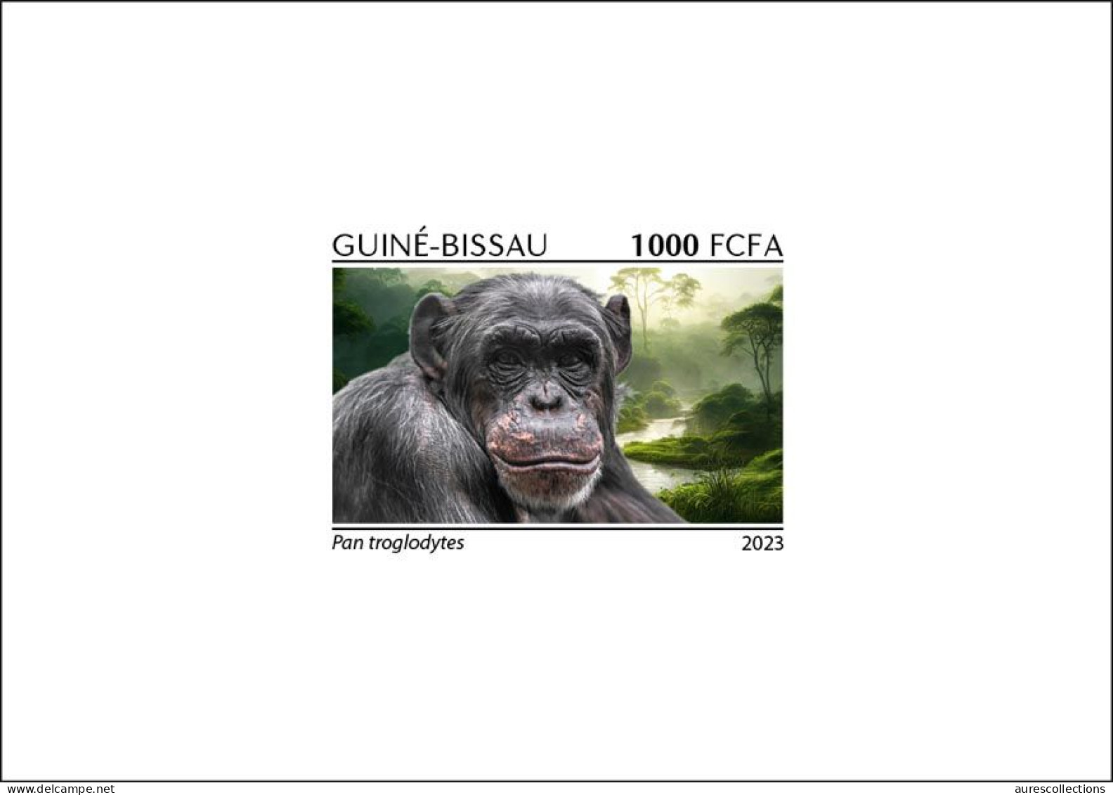 GUINEA BISSAU 2023 - DELUXE PROOF - CHIMPANZEE CHIMPANZE CHIMPANZEES CHIMPANZES APE APES MONKEY MONKEYS - MNH - Chimpanzés