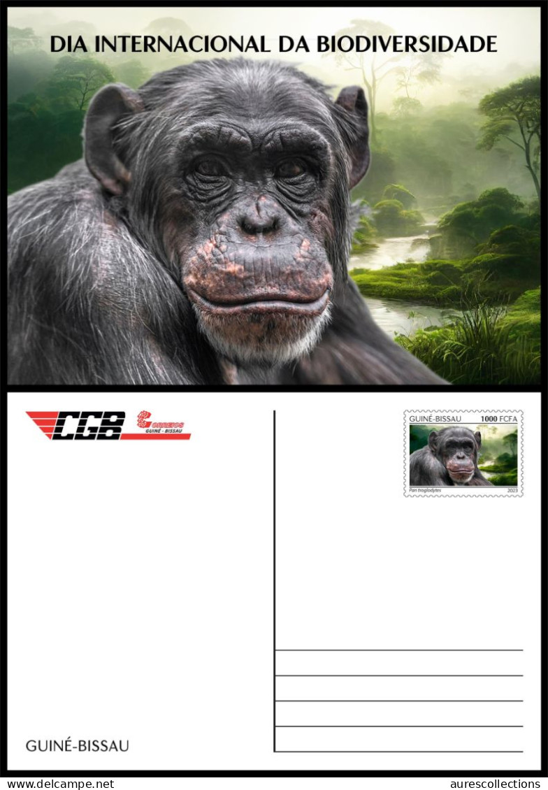 GUINEA BISSAU 2023 - STATIONERY CARD - CHIMPANZEE CHIMPANZE CHIMPANZEES CHIMPANZES APE APES MONKEY MONKEYS - Chimpanzés