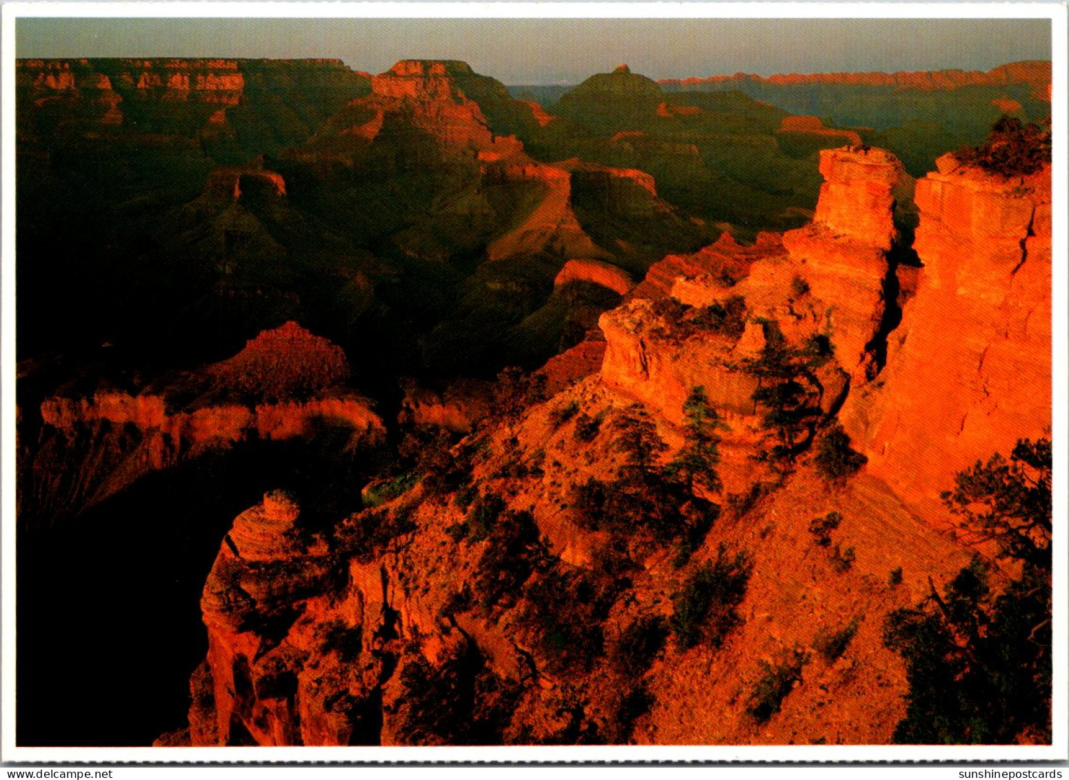 Arizona Grand Canyon At Sunset - Grand Canyon