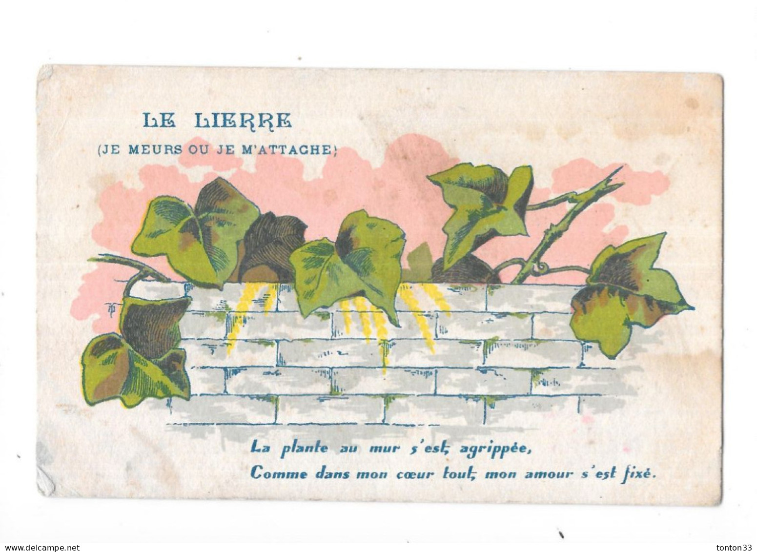 CPA COLORISEE PLANTES - LE LIERRE - Je Meurs Ou Je M'Attache - BX 6 - - Geneeskrachtige Planten