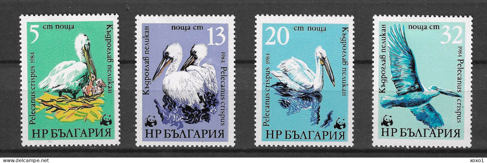 Bulgaria 1984 MiNr. 3303 - 3306 Bulgarien Birds Dalmatian Pelicans WWF 4v MLH * 6.50 € - Pélicans