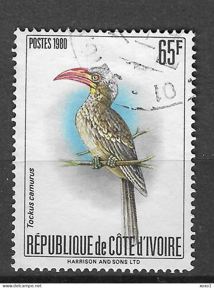 Ivory Coast 1980 MiNr. B 672 Cote D'Ivoire BIRDS Red-billed Dwarf Hornbill 1v USED      -,- € - Cuckoos & Turacos