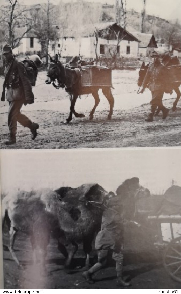 Die Stammdivision der deutschen Gebirgstruppe.