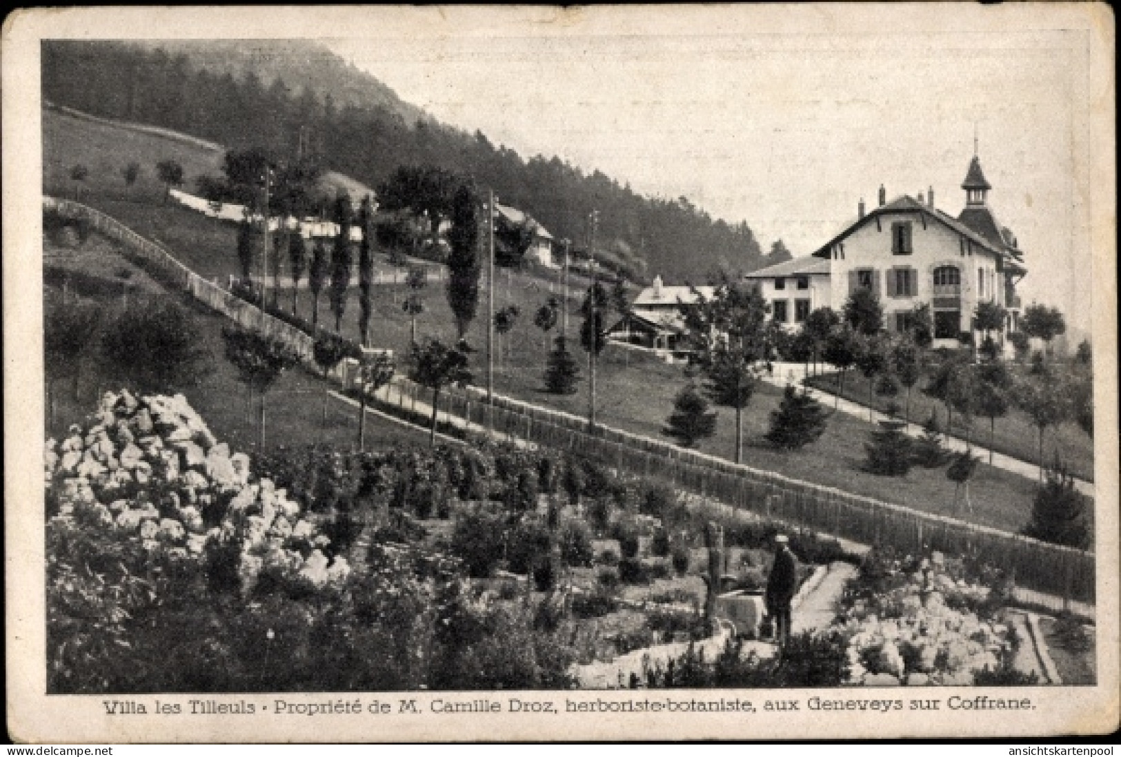 CPA Les Geneveys Sur Coffrane Kt. Neuenburg, Villa Les Tilleuls - Coffrane