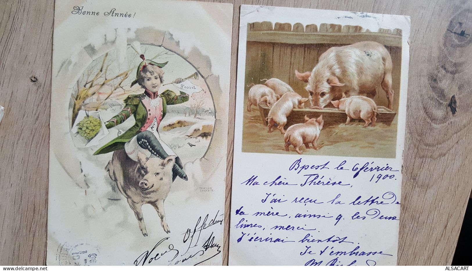 2 Cartes Illustrée Thême Cochon , Dont Une Geiger - Gekleidete Tiere