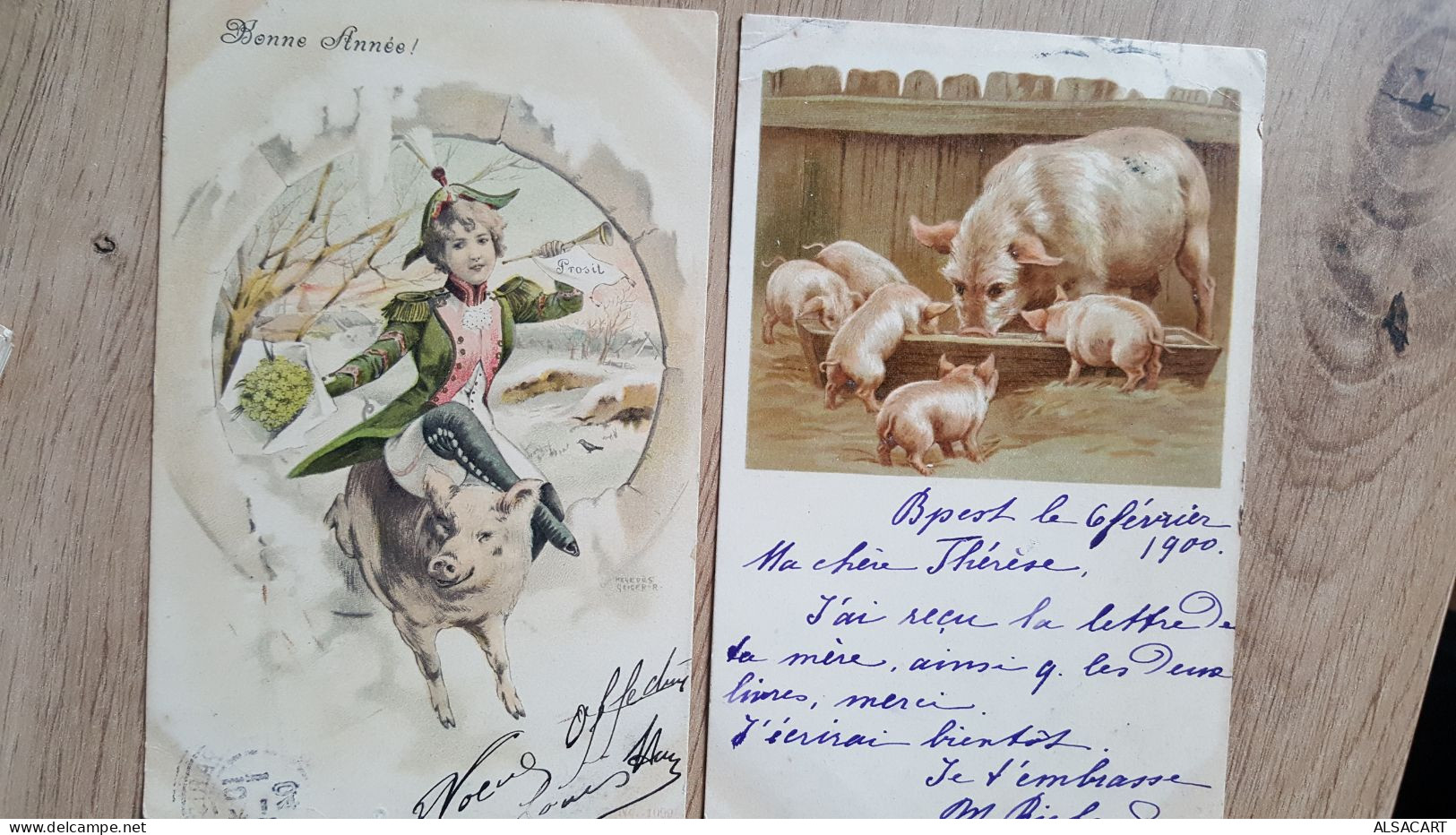 2 Cartes Illustrée Thême Cochon , Dont Une Geiger - Animaux Habillés