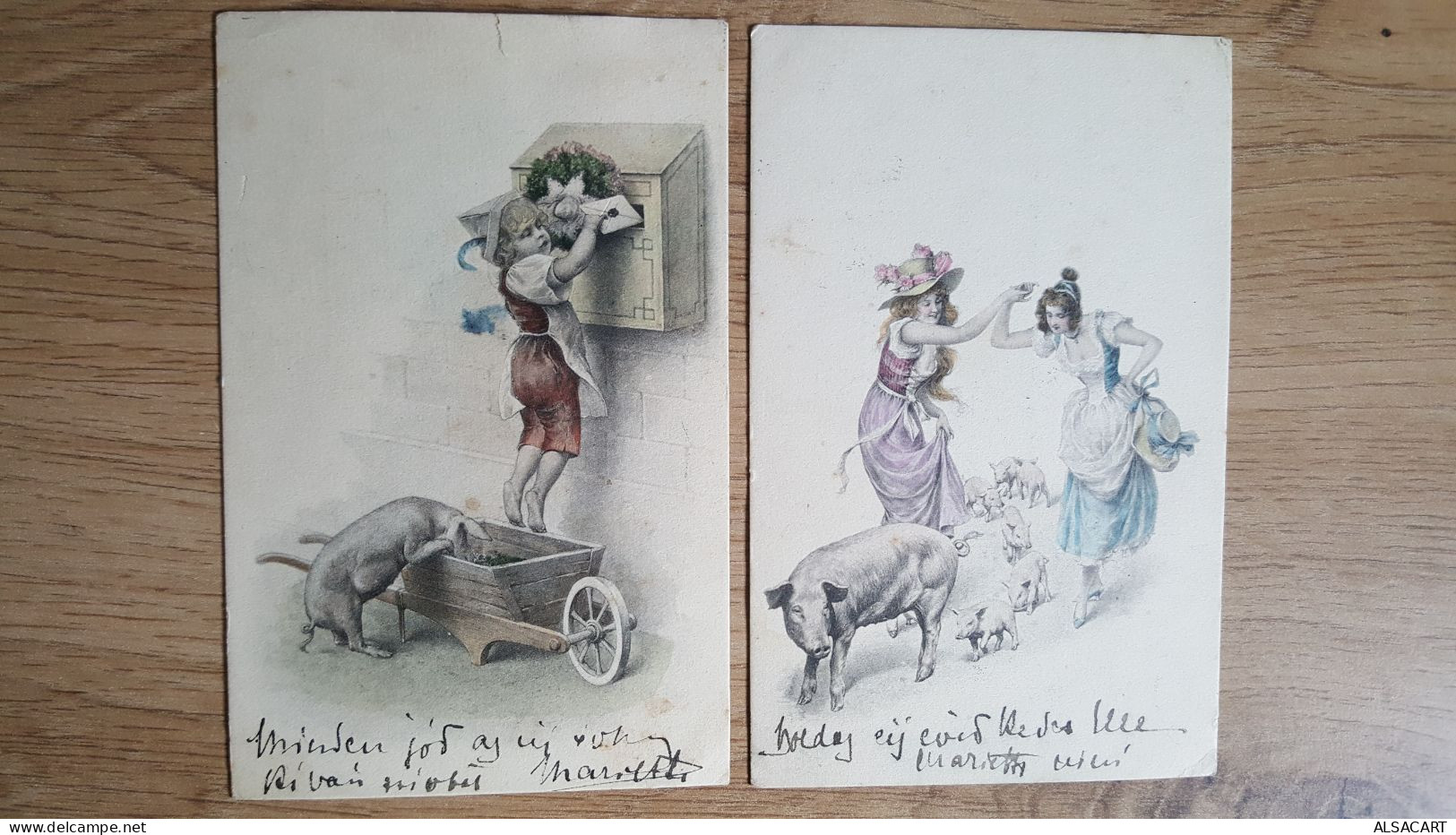 2 Cartes Illustrée Thême Cochon , Illustrateur  Hongrois - Gekleidete Tiere