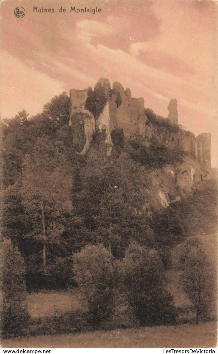 BELGIQUE - Onhaye - Ruines De Mantaigle - Carte Postale Ancienne - Onhaye