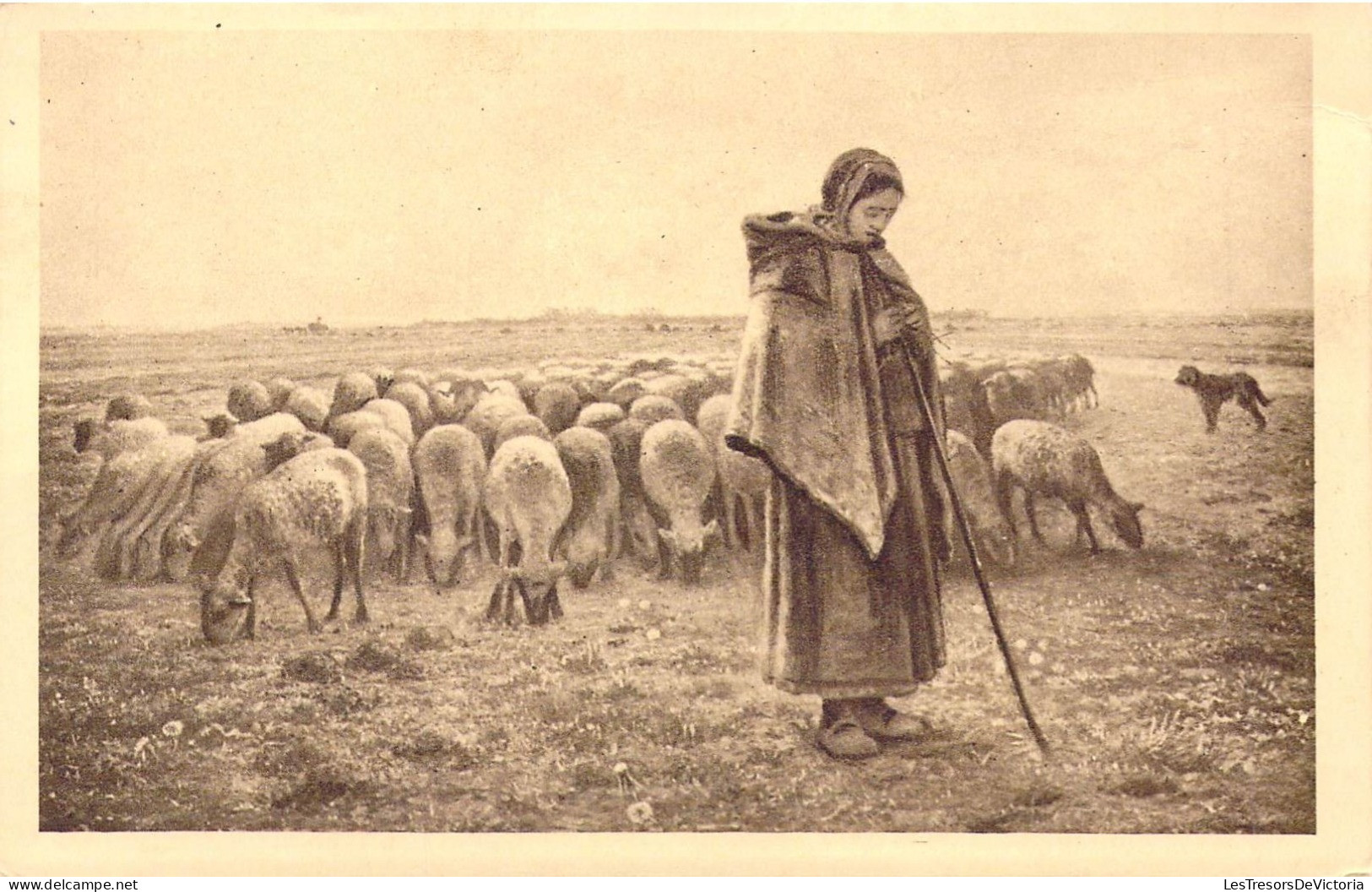 AGRICULTURE - ELEVAGE - Troupeau De Moutons - Carte Postale Ancienne - Allevamenti