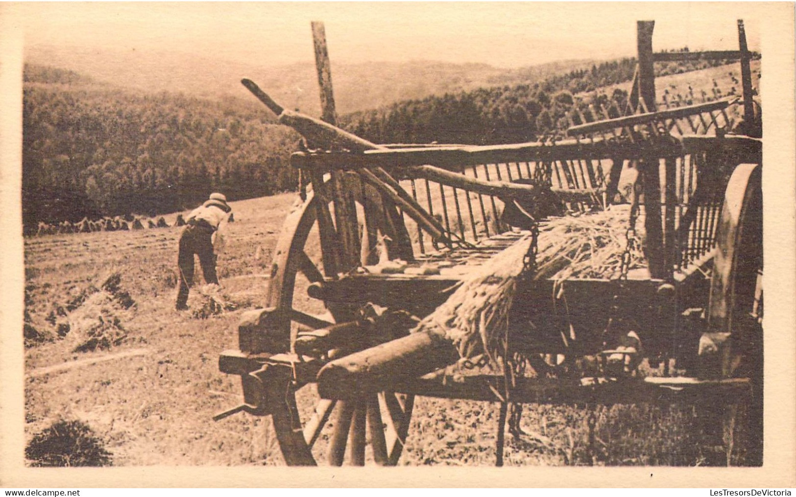 METIERS - PAYSANS - Le Travail De La Moisson En Haute Ardenne - Carte Postale Ancienne - Farmers