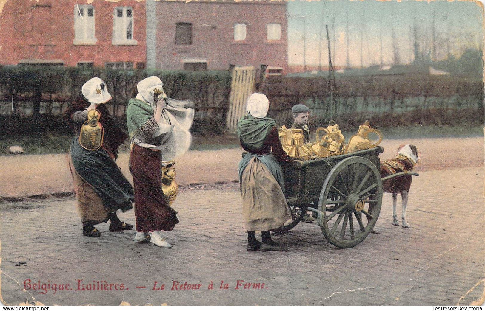 METIERS - PAYSANS - Le Retour à La Ferme - Belgique Lailières - Carte Postale Ancienne - Farmers