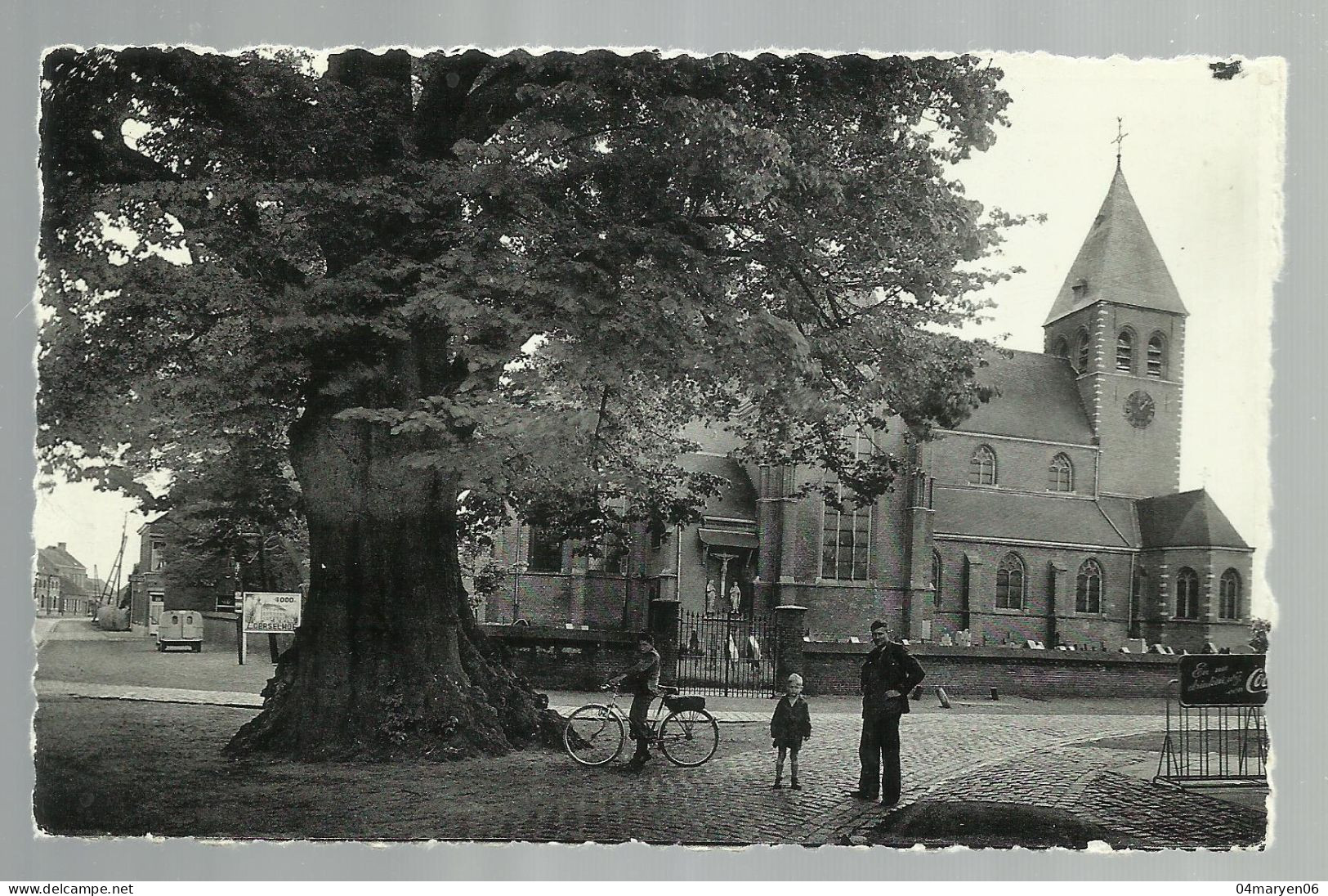 ***  ZOERSEL Bij WESTMALLE  ***  -  De Lindenboom En De Kerk   -    Zie / Voir Scan's - Zoersel