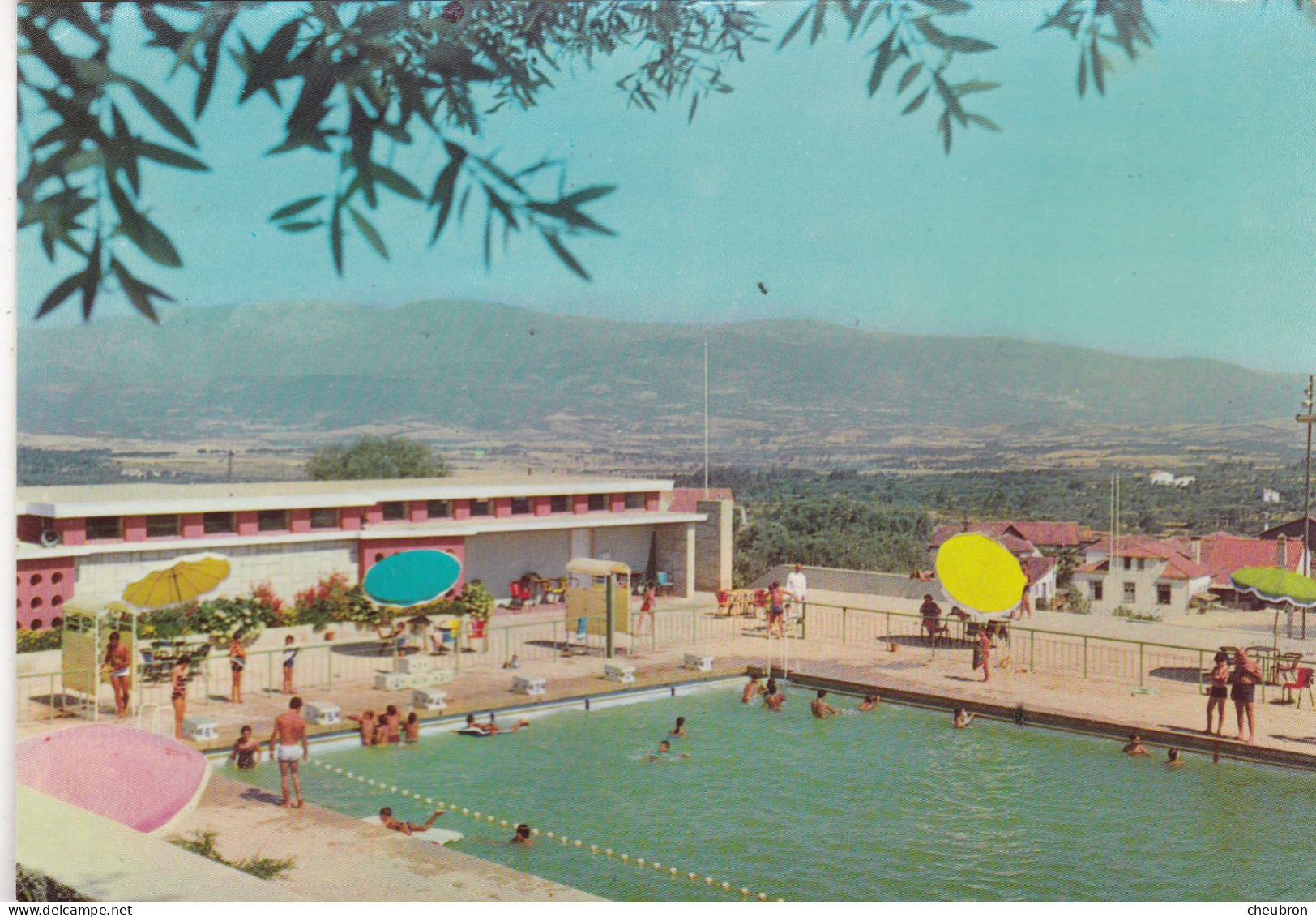 PORTUGAL.CPSM.  FUNDAO . PISCINE MUNICIPALE. ANIMATION. ANNEE 1978 + TEXTE - Castelo Branco